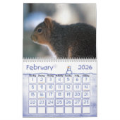 Eichhörnchenkalender Kalender (Feb 2026)