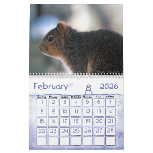 Eichhörnchenkalender Kalender (Feb 2026)