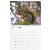 Eichhörnchenkalender Kalender (Feb 2027)