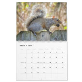 Eichhörnchenkalender Kalender (Mär 2027)