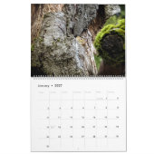 Eichhörnchenkalender Kalender (Jan 2027)