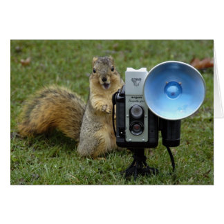 Eichhörnchenkarte groß