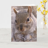 Eichhörnchenkarte Karte (Gelbe Blume)