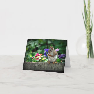 Eichhörnchenkarte Karte