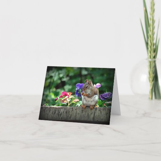 Eichhörnchenkarte Karte (Vorderseite)