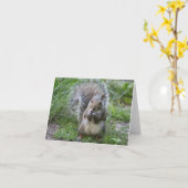 Eichhörnchenkarte Karte (Gelbe Blume)