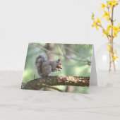 Eichhörnchenkarte Karte (Gelbe Blume)