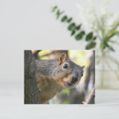 Eichhörnchenkarte Postkarte (Stehend Vorderseite)