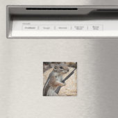 Eichhörnchenmagnet Magnet (In Situ (Geschirrspüler))