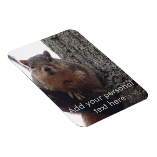 Eichhörnchenmagnet Magnet (Rechte Seite)