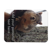Eichhörnchenmagnet Magnet (Horizontal)