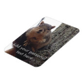 Eichhörnchenmagnet Magnet (Linke Seite)