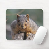 Eichhörnchenmousepad Mousepad (Mit Mouse)