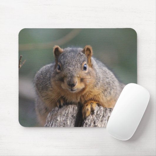 Eichhörnchenmousepad Mousepad (Mit Mouse)