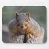 Eichhörnchenmousepad Mousepad (Vorne)