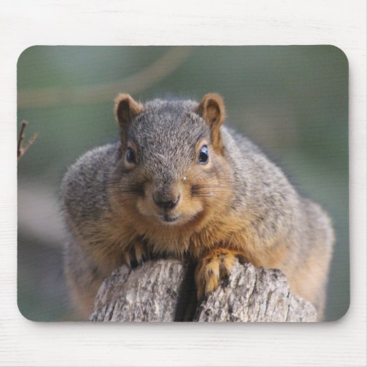 Eichhörnchenmousepad Mousepad (Vorne)