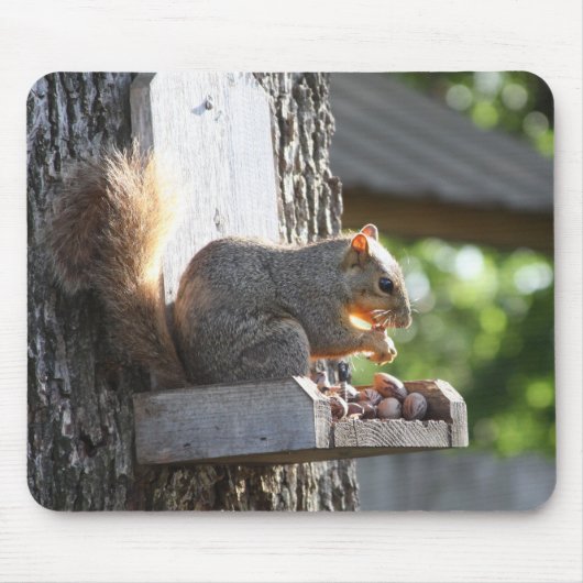 Eichhörnchenmuse Pad Mousepad (Vorne)
