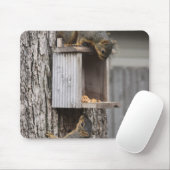 Eichhörnchenmuse Pad Mousepad (Mit Mouse)