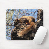 Eichhörnchenmuse Pad Mousepad (Mit Mouse)