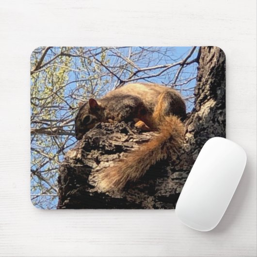 Eichhörnchenmuse Pad Mousepad (Mit Mouse)