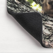 Eichhörnchenmuse Pad Mousepad (Ecke)