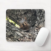 Eichhörnchenmuse Pad Mousepad (Mit Mouse)