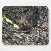 Eichhörnchenmuse Pad Mousepad (Vorne)