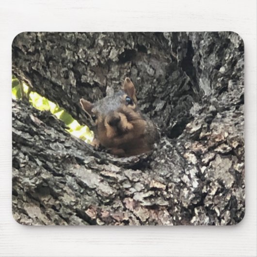 Eichhörnchenmuse Pad Mousepad (Vorne)