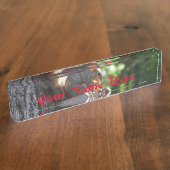 Eichhörnchennamensplatte Namensplakette (Seite)