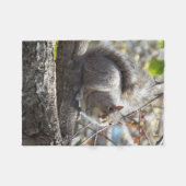 Eichhörnchenniederlassungs-Fleecedecke Fleecedecke (Vorderseite (Horizontal))