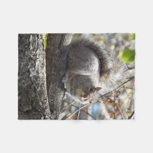 Eichhörnchenniederlassungs-Fleecedecke Fleecedecke (Vorderseite (Horizontal))