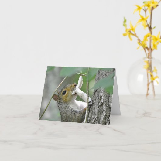 Eichhörnchennotecard Karte (Gelbe Blume)