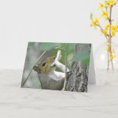 Eichhörnchennotecard Karte (Gelbe Blume)