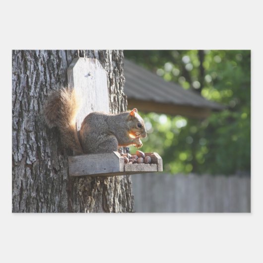 Eichhörnchenpapier, flach gestrichen, Set 3 Geschenkpapier Set (Vorderseite 3)