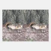 Eichhörnchenpapier, flach gestrichen, Set 3 Geschenkpapier Set (Vorderseite 2)