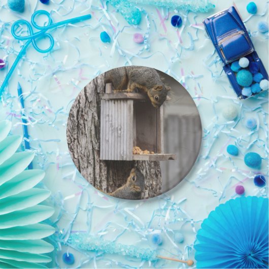 Eichhörnchenpapier-Teller Pappteller (Party)