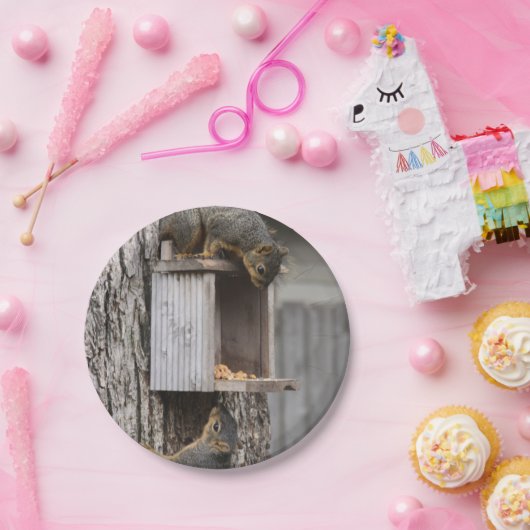 Eichhörnchenpapier-Teller Pappteller (Party)