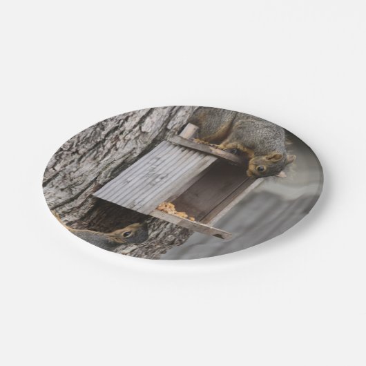Eichhörnchenpapier-Teller Pappteller (Schrägansicht)