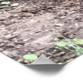 Eichhörnchenplakat Poster (Ecke)