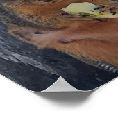 Eichhörnchenplakat Poster (Ecke)