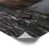 Eichhörnchenplakat Poster (Ecke)