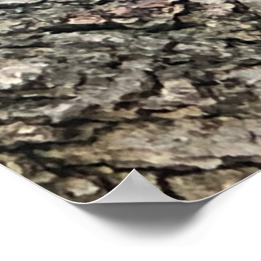 Eichhörnchenplakat Poster (Ecke)