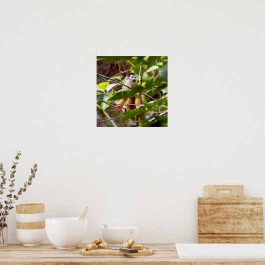 Eichhörnchenplakat Poster (Küche)