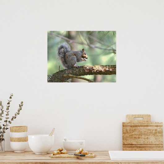 Eichhörnchenplakat Poster (Küche)