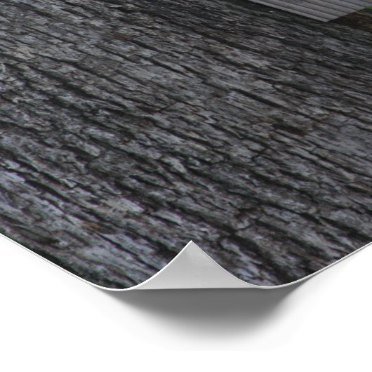 Eichhörnchenplakat Poster (Ecke)