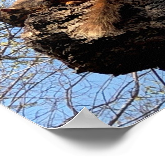 Eichhörnchenplakat Poster (Ecke)