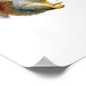 Eichhörnchenplakat Poster (Ecke)