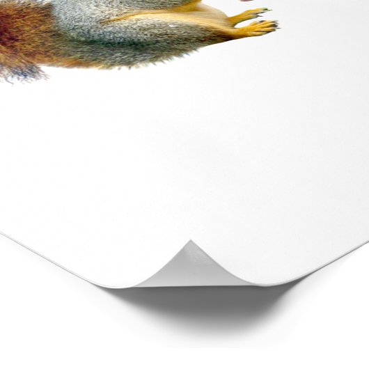 Eichhörnchenplakat Poster (Ecke)