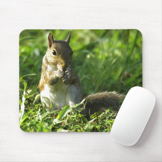 Eichhörnchenportrait Mousepad (Mit Mouse)