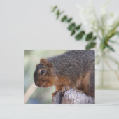 Eichhörnchenpostkarte Postkarte (Stehend Vorderseite)